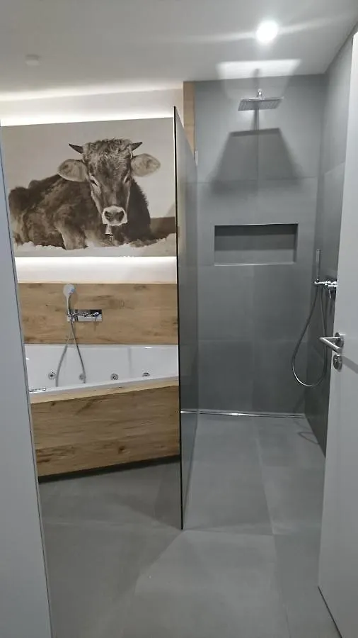 Ferienwohnung Allgaeutraum 沙伊代格 公寓